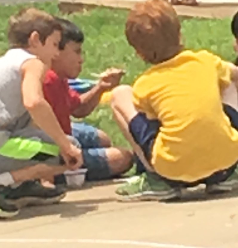 Timeless Learning tweet media