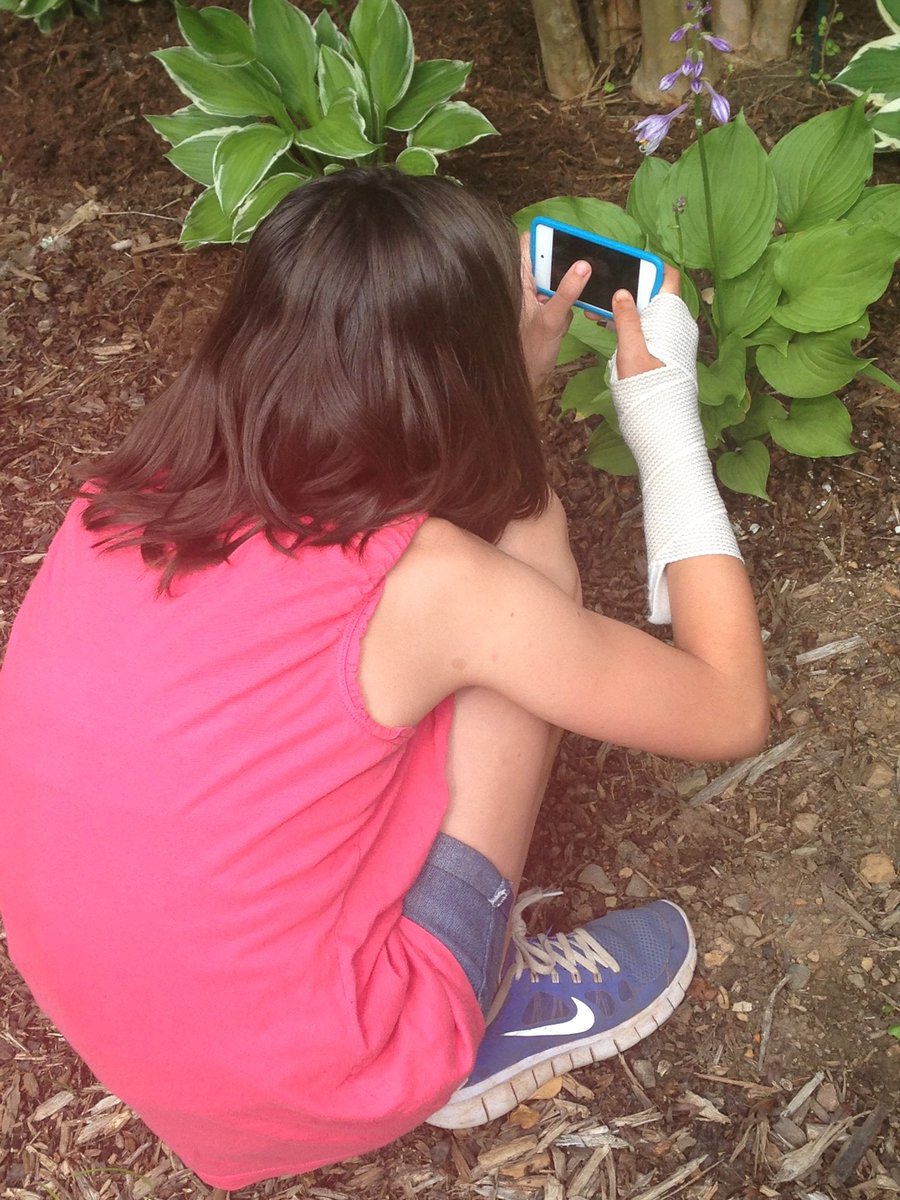 Timeless Learning tweet media