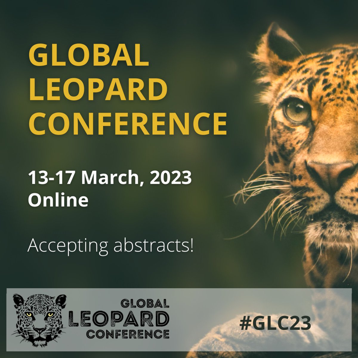 LeopardConf's tweet photo. Thrilled to announce the inaugural Global @LeopardConf ~ 13-17 Mar 2023 ONLINE. Follow this page for important announcements, conference updates & interesting #leopard content leading up to the event!
Details re abstract submission & registration at https://t.co/WIJu8RnEQV #GLC23 https://t.co/UX14sBDsSI