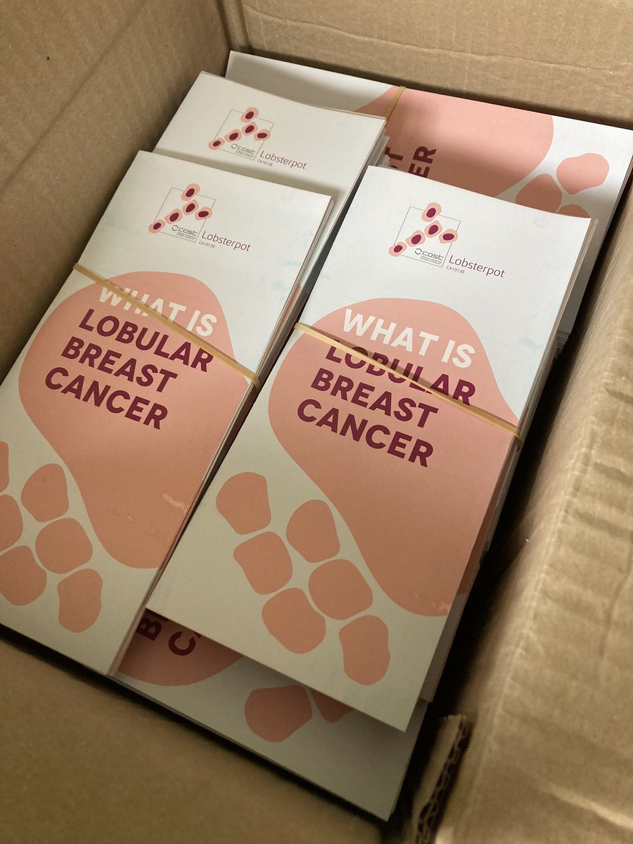 Geraldine Lavin tweet media