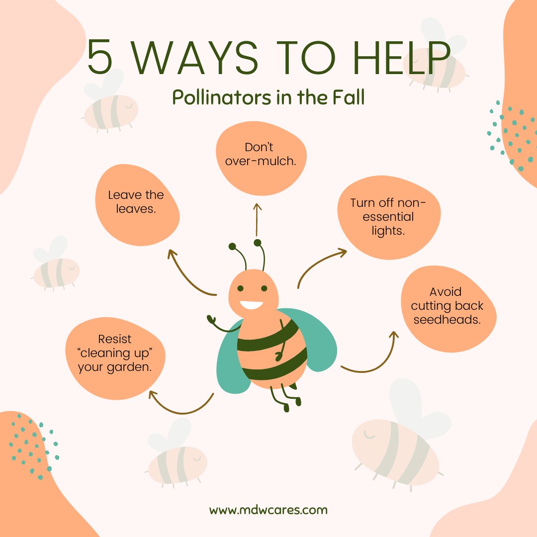 Elizabeth Rago tweet media