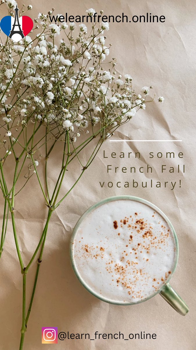 FrenchwithSmile's tweet photo. Autumn is the best time to start learning new things ! ☔🍁🧡

Learn some #french fall vocabulary with me 🙂 

https://t.co/CnE9UYnMEi

#français #learnfrench #studyfrench #frenchonline #francophone #frenchstudent #frenchlanguage #ilovefrench #frenchteacher #frances #francese https://t.co/xqWos4Mbnm