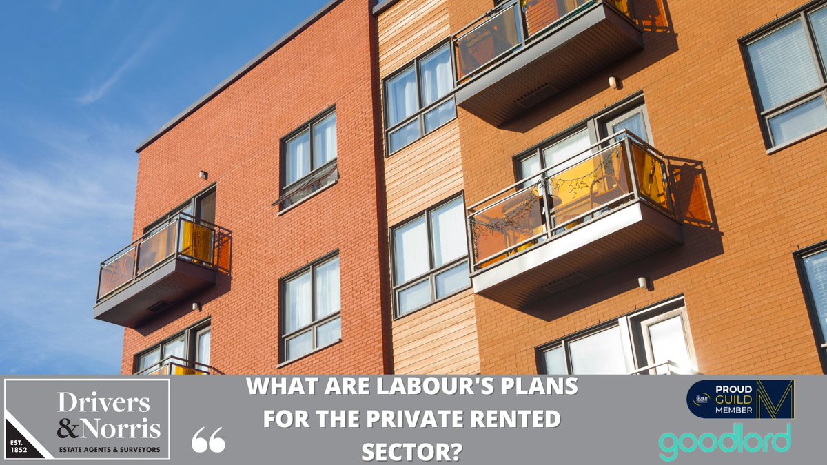 drivers_norris's tweet photo. As @UKLabour is leading the polls, @sogoodlord has summarised the main points on Labour's plan on the PRS 👉 https://t.co/XVOzRyECcT 👀 Good to know about proposed policies for our sector @GuildProperty colleagues @greyandco @MossProperties @DourishandDay @hoddersonline https://t.co/EgVri3ZJhF