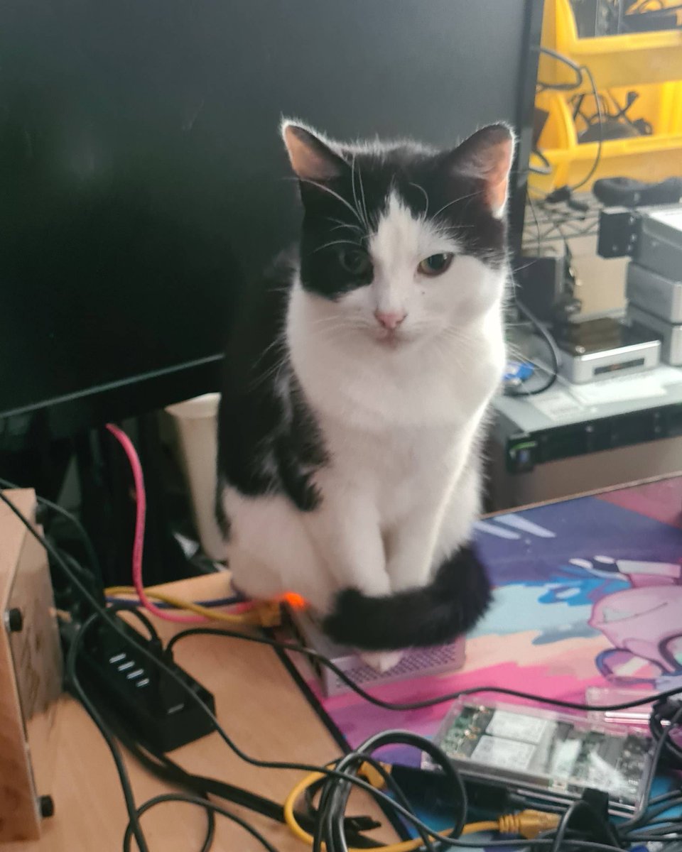 JimtheITguy's tweet photo. Found another use for Unifi switches, they make good cat bum warmers, make sure you use the right Cat cable though #unifi #unifiswitch #ubiquiti #cat #warmcat #networkcat #catbum #unifinetwork https://t.co/YhlHZd9XrR