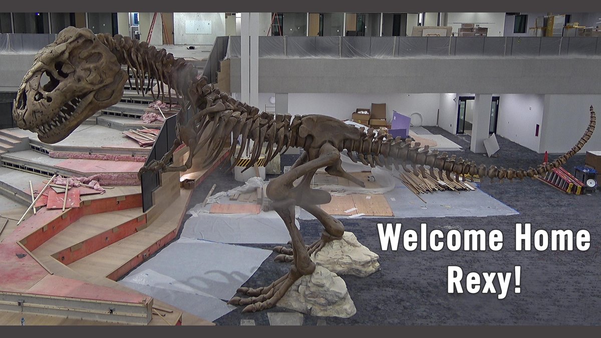 friscolibrary's tweet photo. Say a big howdy to Rexy! Like many residents, she moved into her new home before work was done but she can't wait to meet everyone next year! #Rexy #RexyatFPL #dinosaurs #libroarian #TexyRexy #RexyTexy #LexiRexy #TexRex https://t.co/7Euzo9bGgl