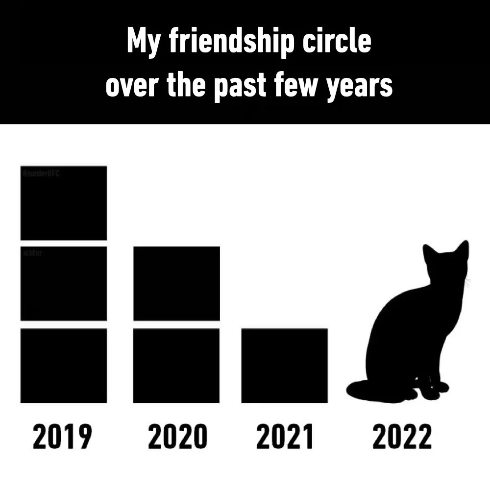 IDFaridcv's tweet photo. Maybe she/he just doesn't know.
@ociswap #Meowland https://t.co/EbWAZOdaQF