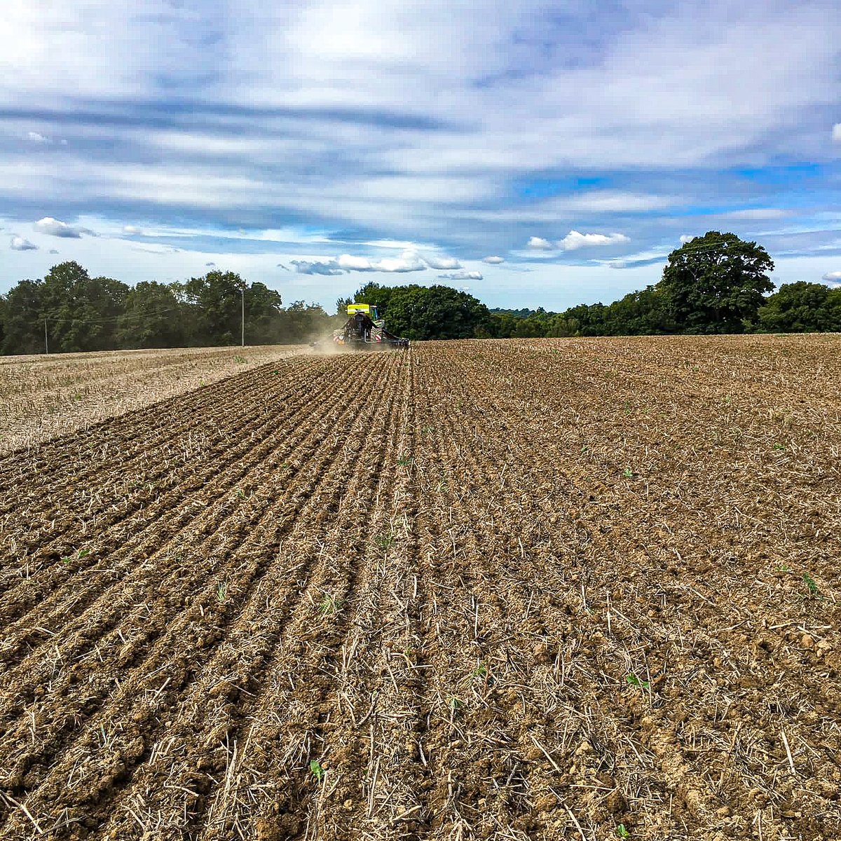Watching the @sky_agriculture Easydrill work 💪

Interest free finance available until 30th November 2022! ℹ agwood.co.uk/contact-us 

#skydrill #easydrill #drilling #agriculture #farminguk #interestfree