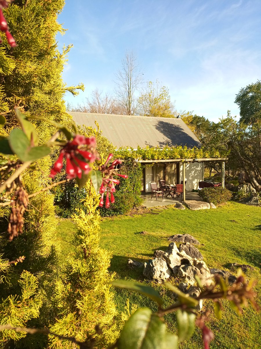 Patrycja Oosthuizen tweet media