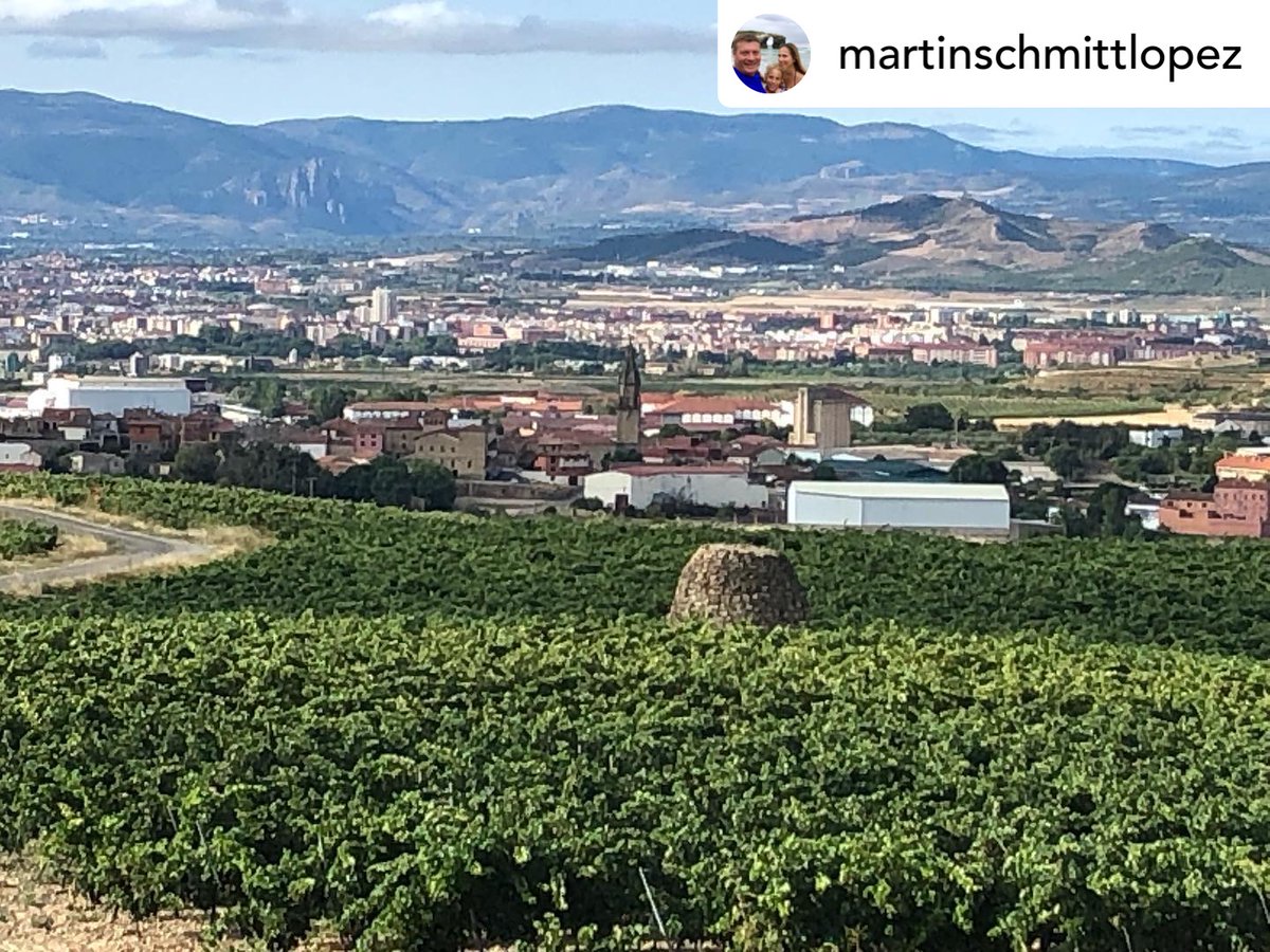 ABRA_Vino's tweet photo. Distintos guardaviñas desde distintos puntos de vista. La comarca de Laguardia-Rioja Alavesa está plagada de ellos. Estos han sido capturados por Martinschmittlopez en Oyon.
#FONDOSFEADER
#abra #laguardiariojaalavesa #riojaalavesa #guardaviñas #chozos #oion #oyon https://t.co/vQ1at38jv0