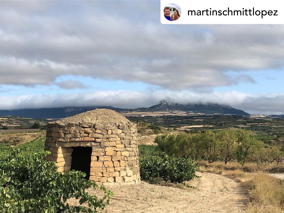 ABRA_Vino's tweet photo. Distintos guardaviñas desde distintos puntos de vista. La comarca de Laguardia-Rioja Alavesa está plagada de ellos. Estos han sido capturados por Martinschmittlopez en Oyon.
#FONDOSFEADER
#abra #laguardiariojaalavesa #riojaalavesa #guardaviñas #chozos #oion #oyon https://t.co/vQ1at38jv0