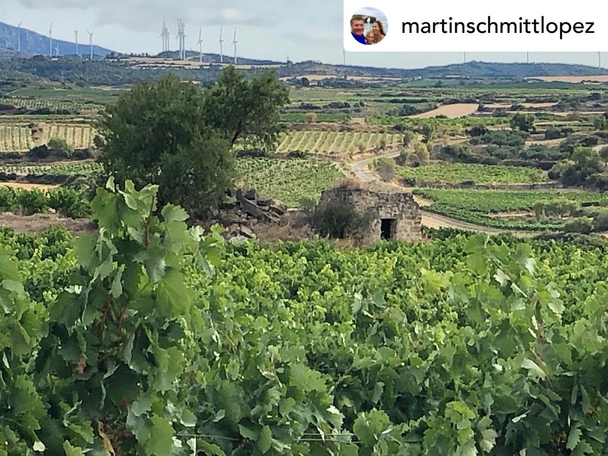 ABRA_Vino's tweet photo. Distintos guardaviñas desde distintos puntos de vista. La comarca de Laguardia-Rioja Alavesa está plagada de ellos. Estos han sido capturados por Martinschmittlopez en Oyon.
#FONDOSFEADER
#abra #laguardiariojaalavesa #riojaalavesa #guardaviñas #chozos #oion #oyon https://t.co/vQ1at38jv0