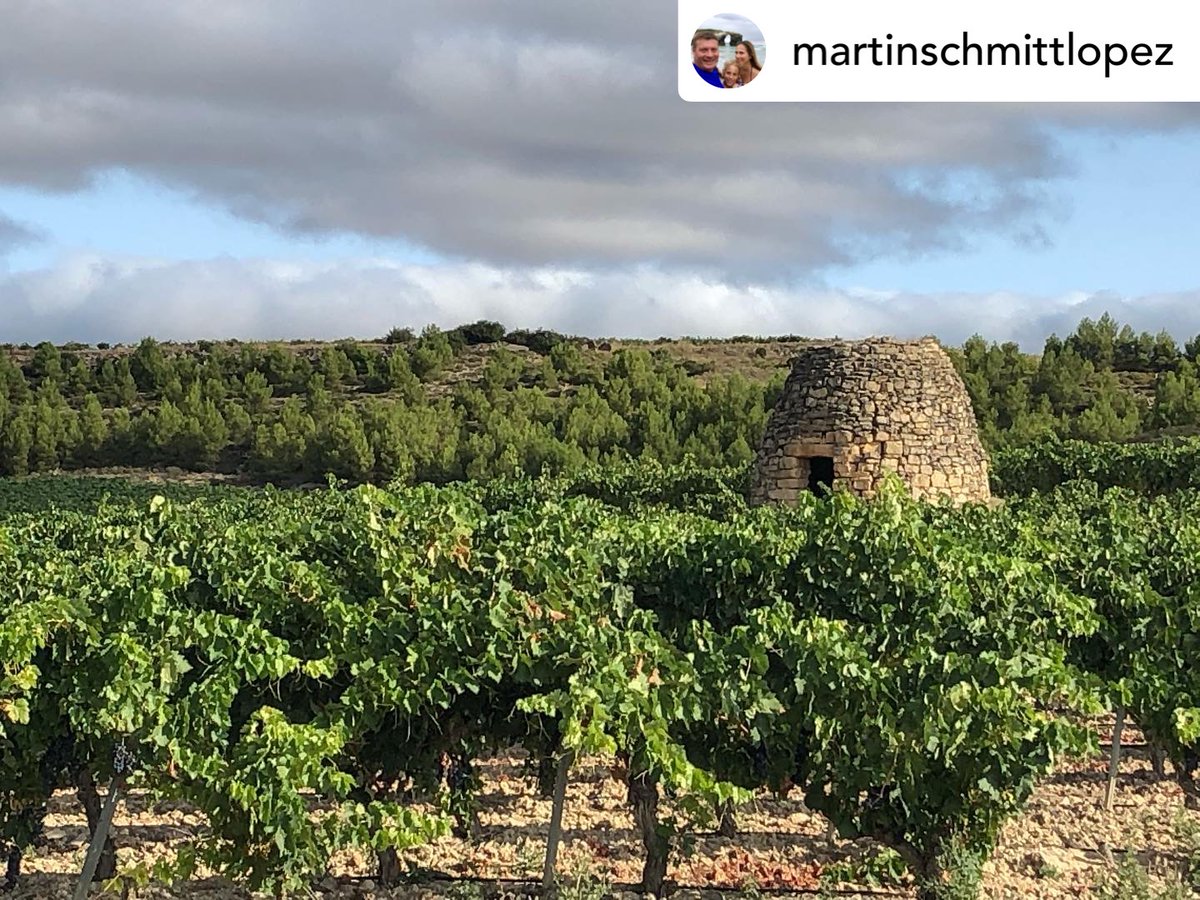 ABRA_Vino's tweet photo. Distintos guardaviñas desde distintos puntos de vista. La comarca de Laguardia-Rioja Alavesa está plagada de ellos. Estos han sido capturados por Martinschmittlopez en Oyon.
#FONDOSFEADER
#abra #laguardiariojaalavesa #riojaalavesa #guardaviñas #chozos #oion #oyon https://t.co/vQ1at38jv0