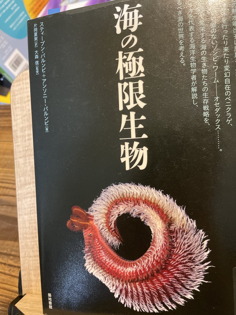 生物多様性とサステナビリティ 海洋保全 - Taiwan Panorama, image size:900x1200