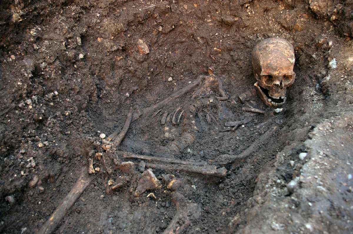 uniofleicester's tweet photo. We are celebrating 10 years since the discovery of the remains of #RichardIII - our website tells you the story of who, why, when and how. 👑

https://t.co/JwcdIfdiNA

#CitizensOfChange #RichardIII https://t.co/ua0AQLtViA