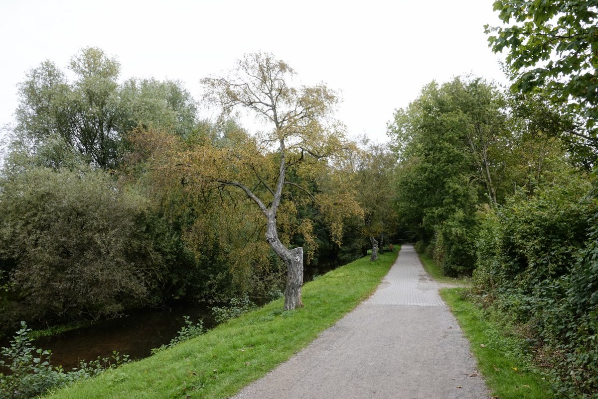 fotoaufnahme's tweet image. Der #Rotbach in Dinslaken führt nach der trockenen Zeit im Sommer wieder normalen Wasserstand. Der Rotbachsee ist gestaut und beeinflusst somit den Pegelstand für den unterhalb des Sees fließenden Rotbach. #Natur #Gewässer #NRW