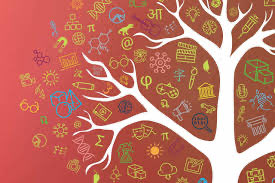 KrishnaABurra's tweet photo. Kudos and gratitude to ALL @LimestoneDSB educators on #WorldEducatorsDay. Thank you for all you do today, and everyday. https://t.co/1qNUB5vrWs