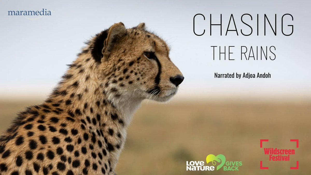 Maramedia tweet media