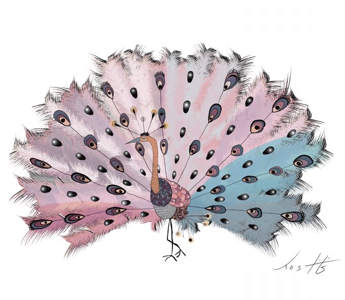 クジャク 孔雀 野鳥 ミニ屏風 原画イラスト Cbmev Org Br