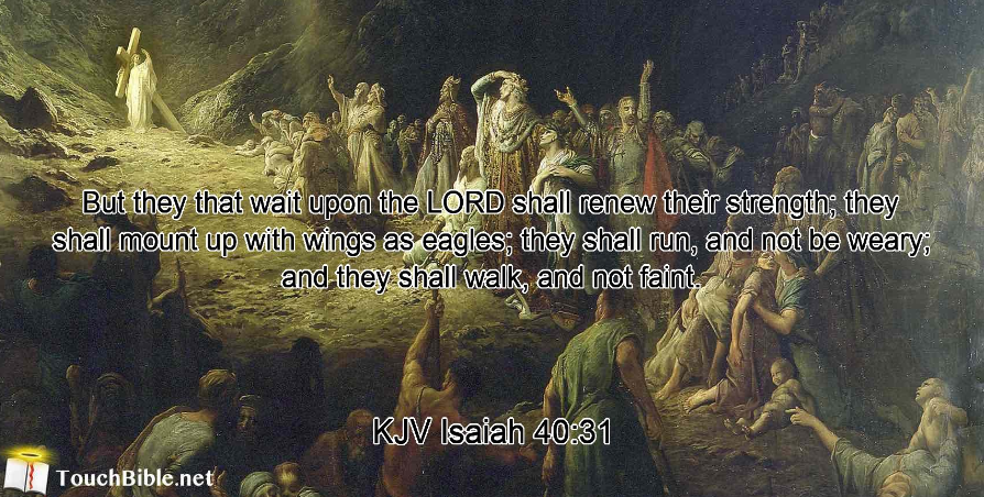KJVBaptist193's tweet photo. #VerseOfTheDay for Wednesday, October 5, 2022
✟
“But they that wait upon the LORD shall renew their strength; they shall mount up with wings as eagles; they shall run, and not be weary; and they shall walk, and not faint.”
Isaiah 40:31 (KJV) https://t.co/KNjscwlhWN