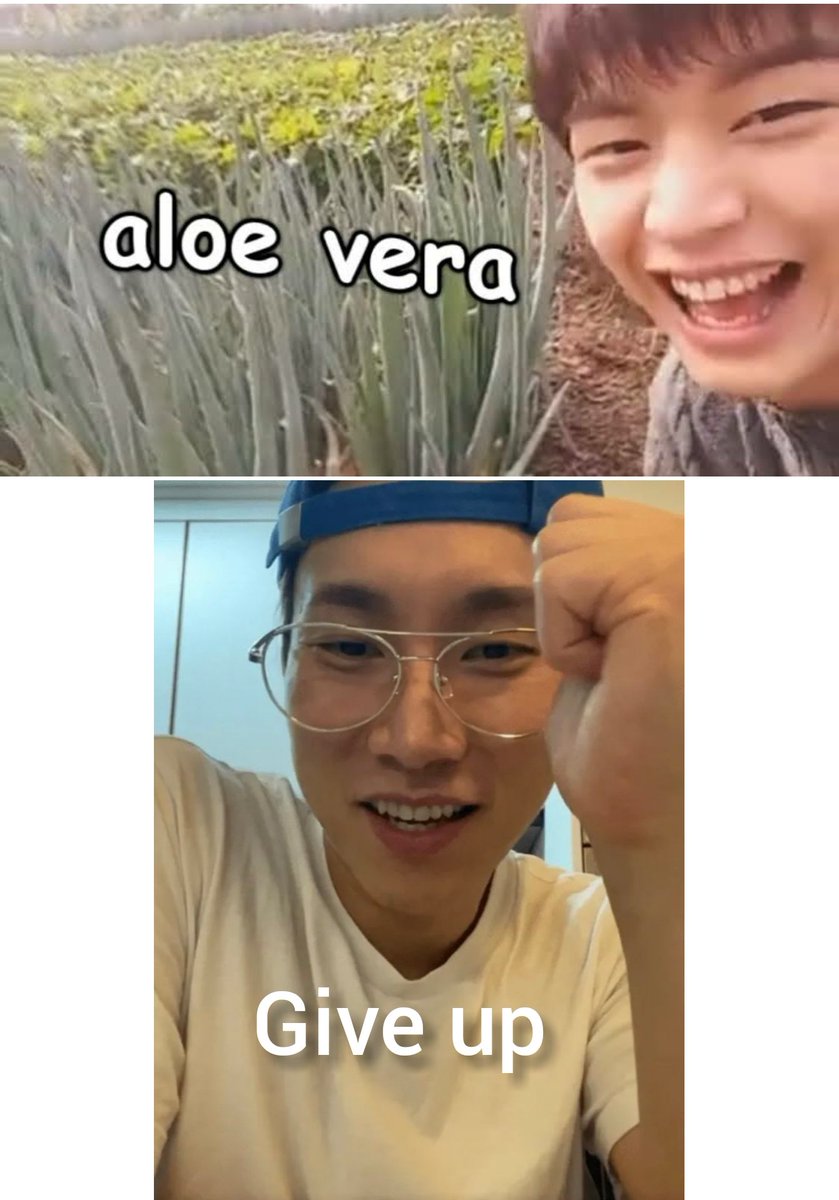 starfess's tweet photo. -hey macam-macam idoll kipop~

idol aloe + idol give up: https://t.co/E2dm7j2LXM