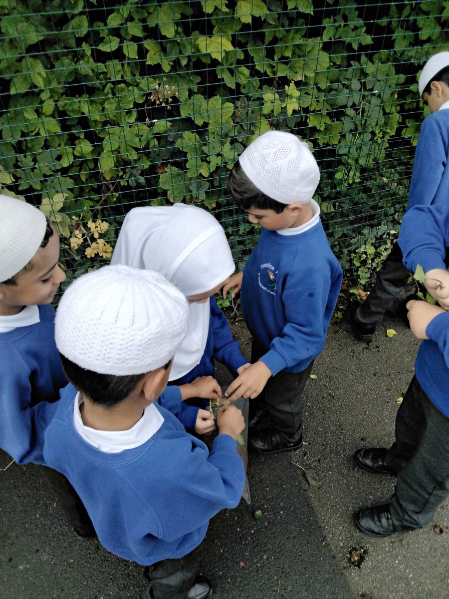 ParadisePrimary's tweet photo. This week Year 1 children were learning how to sort different objects. They enjoyed finding different leaves and sorting them out. Well done Year 1s! 🍃🌿🍀

#sortingobjects #leaves #outdoor #outdoorwalks #sortingactivity https://t.co/uqozrxGx9A