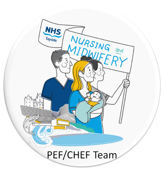 NHST_PPD's tweet photo. The NHS Tayside PEF/CHEF team would like to welcome the Dundee City Community Treatment and Care Service as a new practice placement area for our students. Looking forward to supporting them with all their exciting learning opportunities! https://t.co/fJLgsq19FT