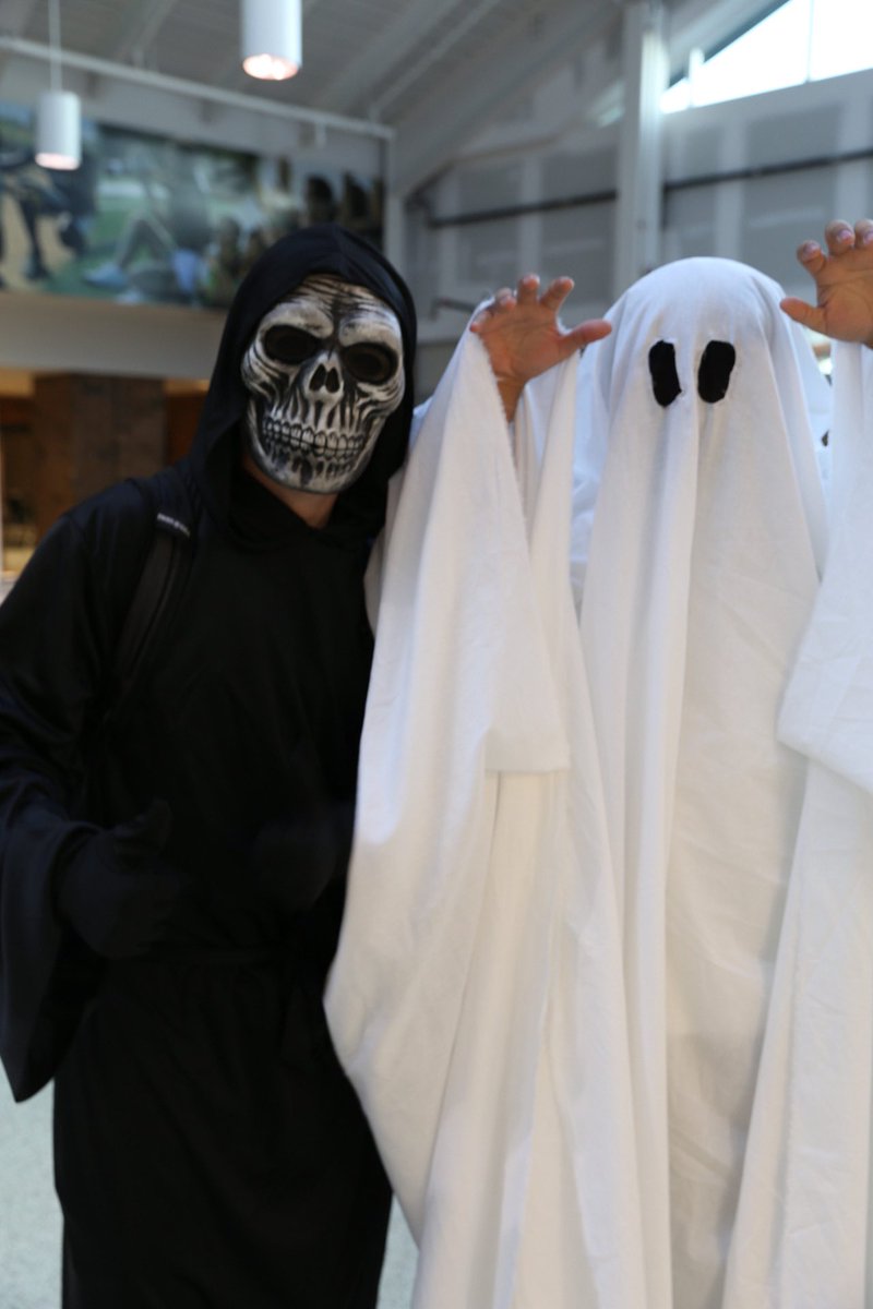 NCSD's tweet photo. Scenes from Class Theme Day (comedy, romance, horror, sci-fi)  #homecomingspiritweek #NoviPride https://t.co/7StMwOfKD7