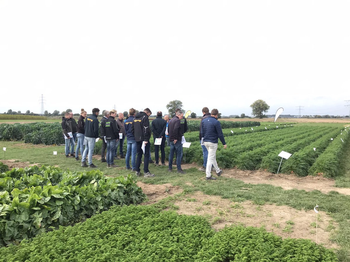 Dirk Jansen tweet media