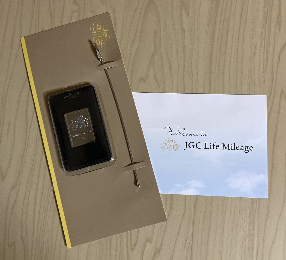 snake_komaje's tweet photo. ようやく
JAL Life mileage
1STAR獲得^_^
#JAL 
#jJGC https://t.co/3zhJHsR6zy