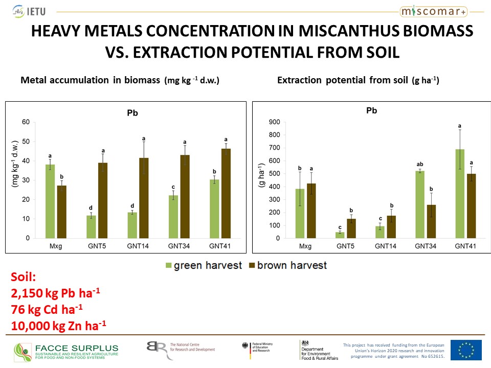 IETU_PL's tweet photo. Presentation of #Miscomar+ project - at side event #CrOpportunities, at the EU #BioeconomyConference ➡️@PogrzebaMarta from @IETU_PL – “Miscanthus for heavy metal contaminated areas - Polish case study - current status and future perspectives".
@GRACE_BBI @D4EU_project @FACCEJPI https://t.co/tJ6U3K5ilJ