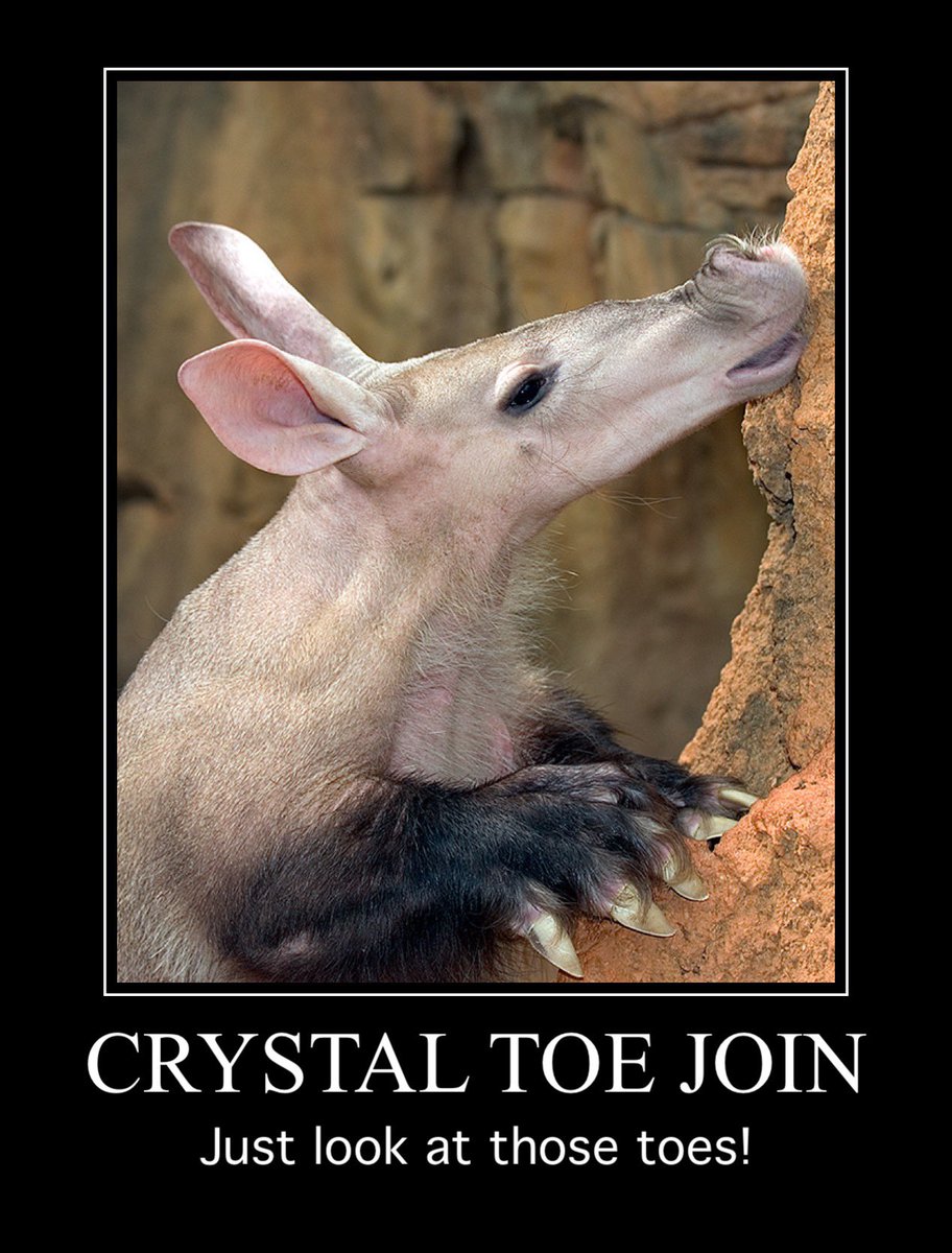 CrystalToeJoin's tweet image. 🦶🤡🦶
#Crystal2Join #CrystalToeJoin
