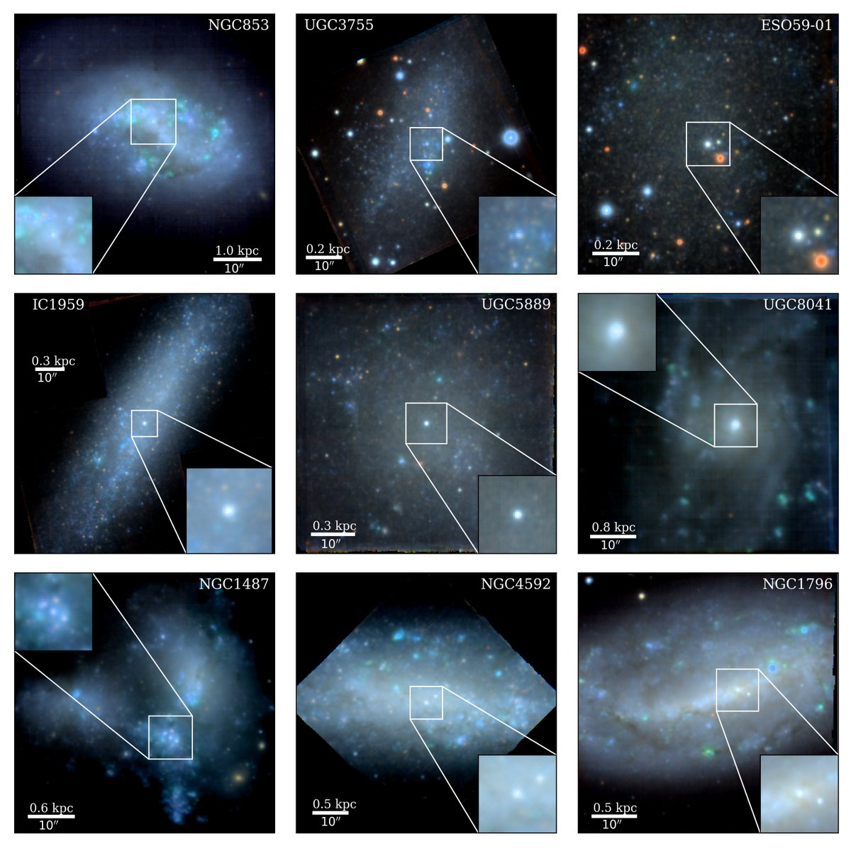 Paper day 🥳! Our paper on nuclear star cluster formation in star-forming dwarf galaxies is now on arXiv: arxiv.org/abs/2210.01556
With <a href="/DrMLyubenova/">Mariya Lyubenova</a>, <a href="/VoltarCH/">Oliver Müller, Ph.D.</a> and many more.

Thread below, but first check out the beautiful MUSE data we used!