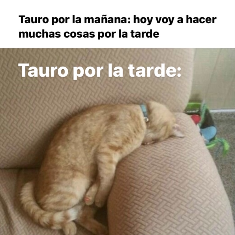 tauro_hn's tweet photo. Suele pasar 😂😂😂 #tauro #horoscoponegro https://t.co/QB2cOzw7HE