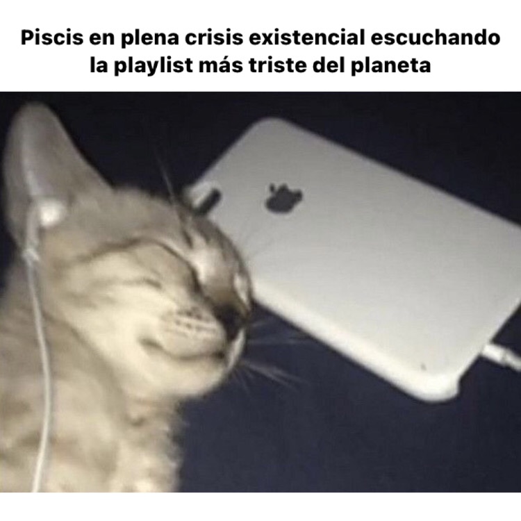 piscis_hn's tweet photo. 🤣🤣🤣 #piscis #horoscoponegro https://t.co/X4Q1btcIi8