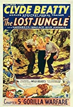 merlinpapin3's tweet photo. .@FredOL69007 Aujourd'hui le scénariste et réalisateur #DavidHoward aurait eu 12 ans , on lui doit

Perdus dans la Jungle
The Mystery Squadron
The Rookie Cop
Whispering Smith Speaks https://t.co/inZDEaTKVH