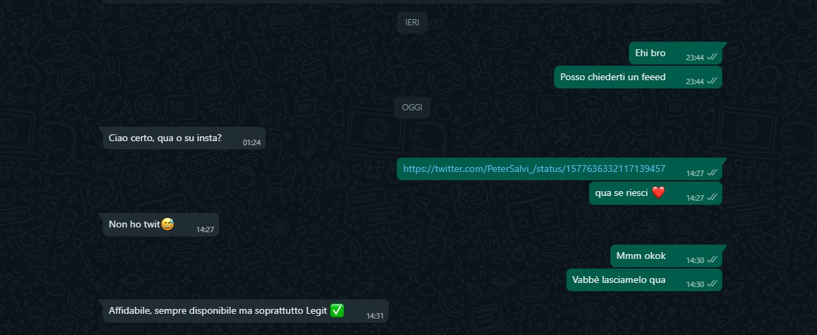 Peter Salvi tweet media