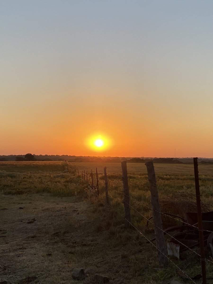 Disciple275's tweet image. Love spending some time with the cows in the cool, crisp air of an autumn morning.
