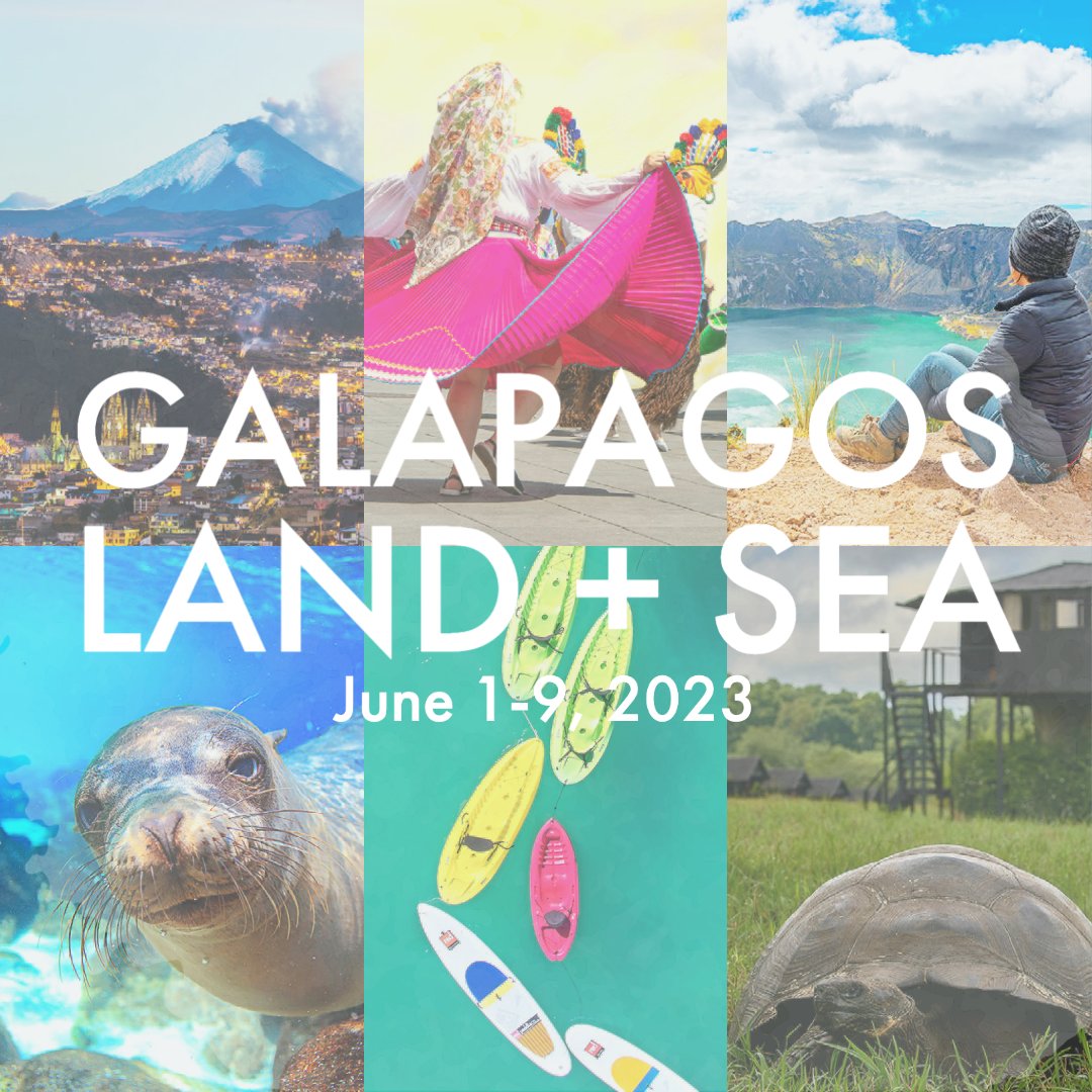 RootAdventures's tweet image. TOᑭ 5️⃣ ᖇEᗩSOᑎS to join us in TᕼE GᗩᒪᗩᑭᗩGOS! 🇪🇨
ʙᴏᴏᴋɪɴɢꜱ ᴏᴘᴇɴ ᴏᴄᴛᴏʙᴇʀ 11 - rootadventures.com/join-a-trip