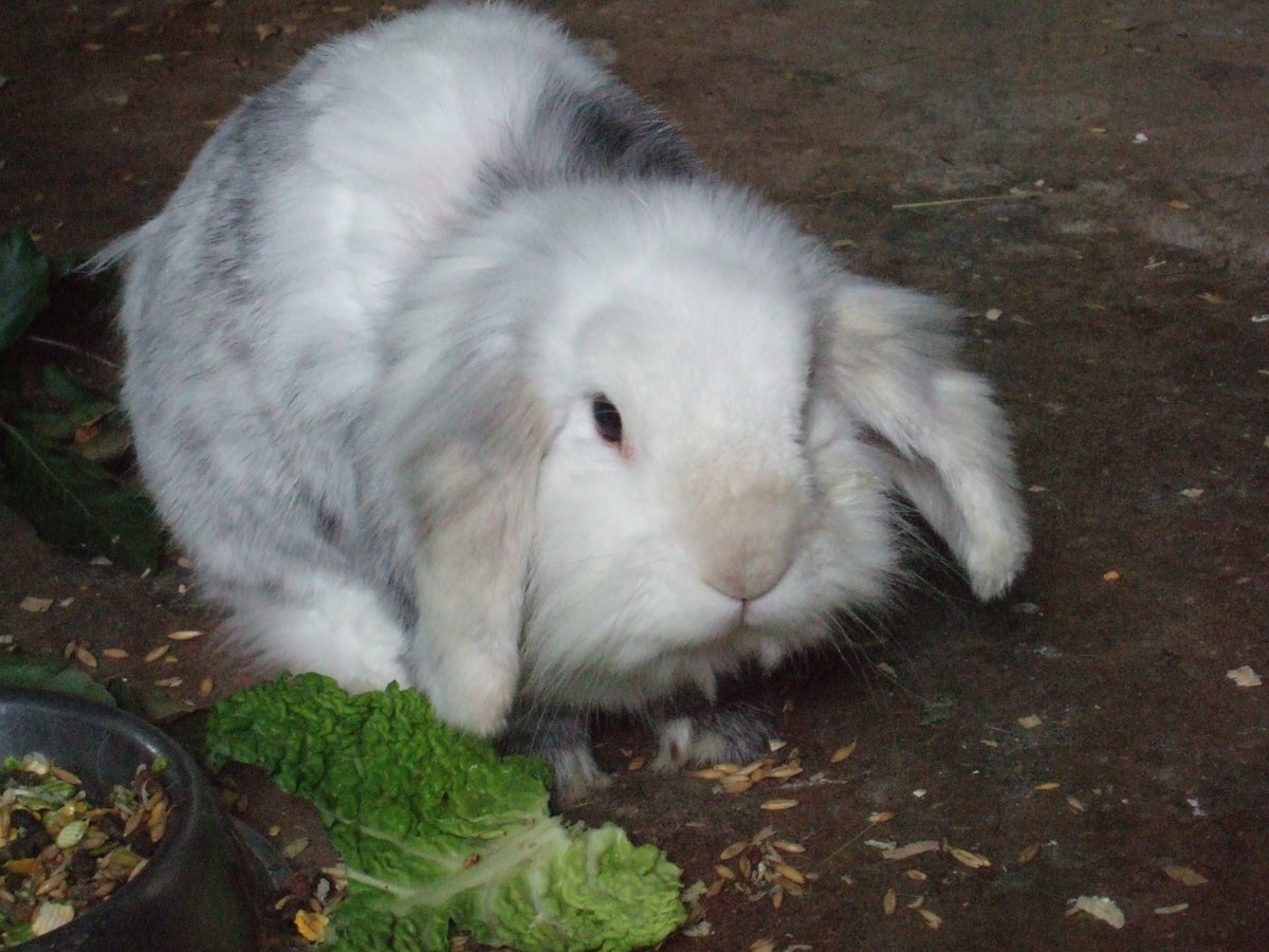 Uncanny Patti tweet media