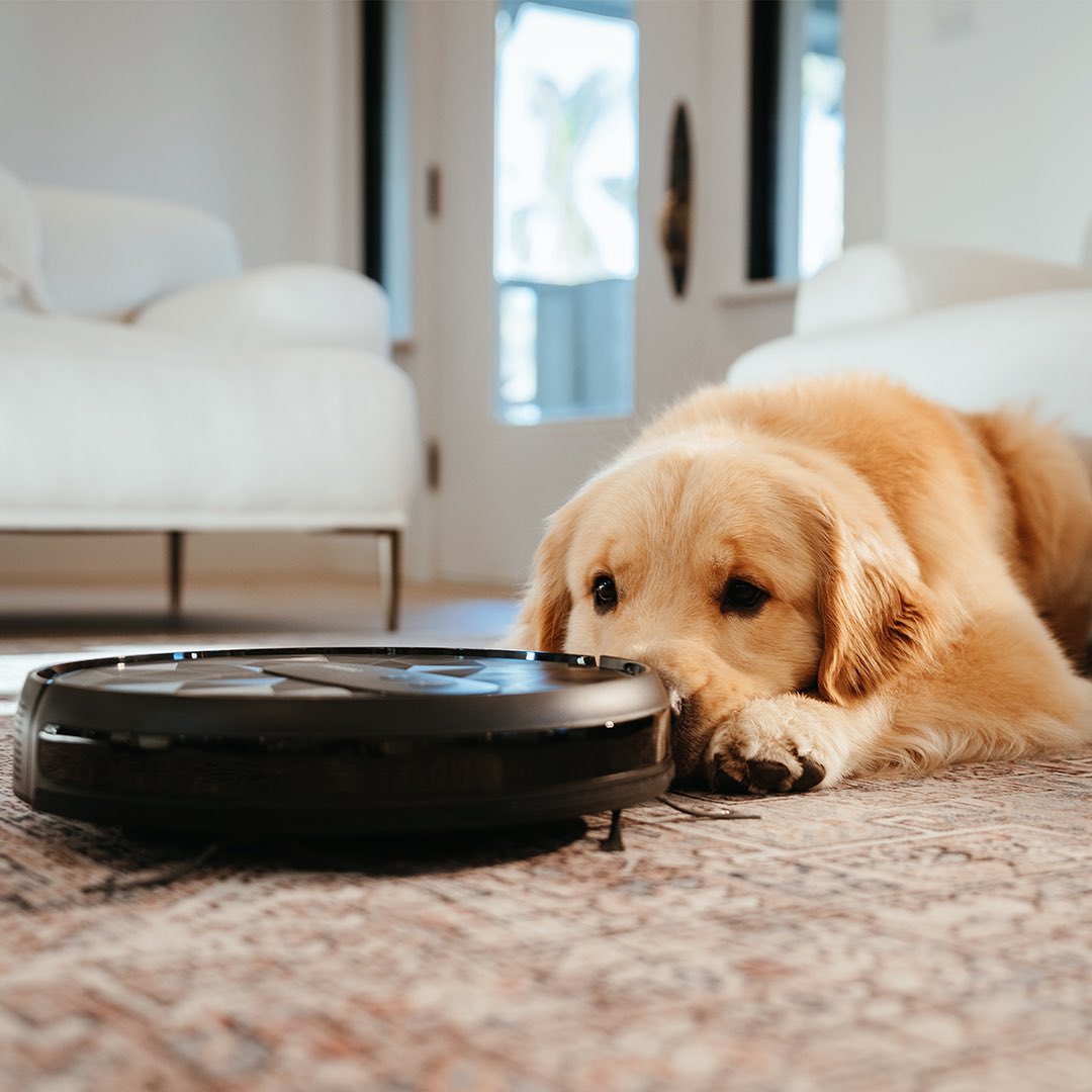 Airrobo3's tweet photo. The best therapist has fur. The best house keeper has large dustbin to deal with that.

#airrobo #vacuum  #goodvibes #puppylove https://t.co/maPl2uaNjx