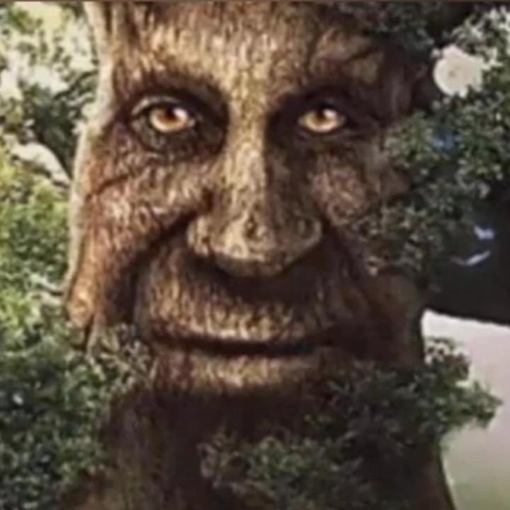 Gente hoy nuestros DogWater🐕 juegan contra Shooting Stars, (Creo tienen una cancion o algo), pero bueno creo que es un equipo pocho del monton osea que va ser un EZ 2-0 para nosotros 😎