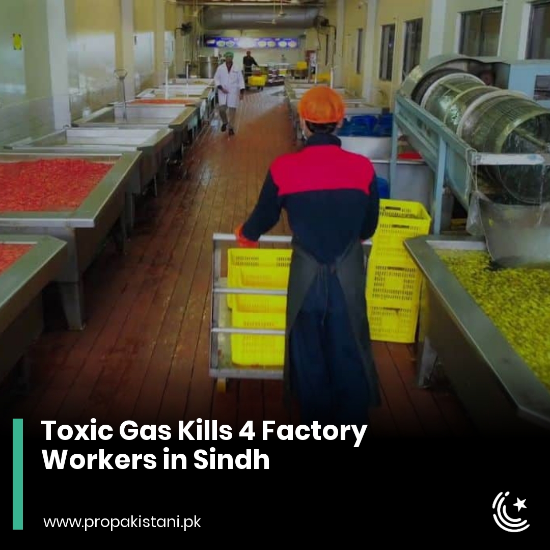 ProPakistaniPK's tweet image. Read More: propakistani.pk/2022/10/05/tox…

#ToxicGas #FactoryWorkers #Sindh