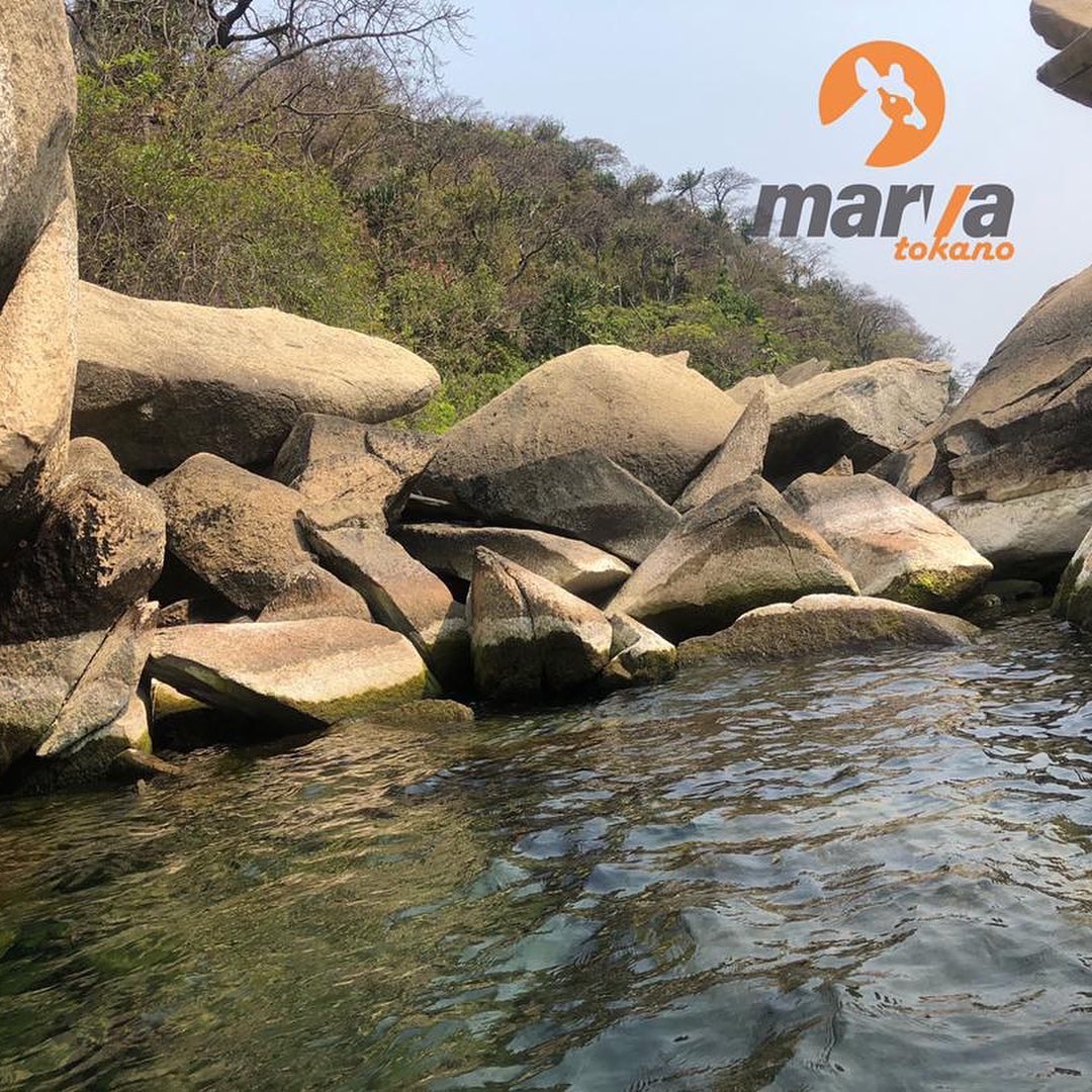 JCkahite's tweet image. Vous êtes passionnés de la nature
Curieux de savoir ce qu&apos;elle vous cache en réalité
[Marva tokano ] Vous propose une découverte de l&apos;une de  merveilleuses beauté de la RDC le lac Tanganyika et ses cachettes 
Juste à 50$ pour tout frais inclus