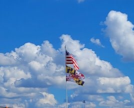 mcfrsPIO's tweet image. .@fema MD-TF1 has recently engaged in search &amp;amp; rescue ops in #LeeCountyFL #HurricaneIan - work has been challenging but the unified effort among local, state &amp;amp; federal agencies has been persistent in assuring accountability of all residents. @mcfrs @HCDFRS @dcfireems @PGFDNews