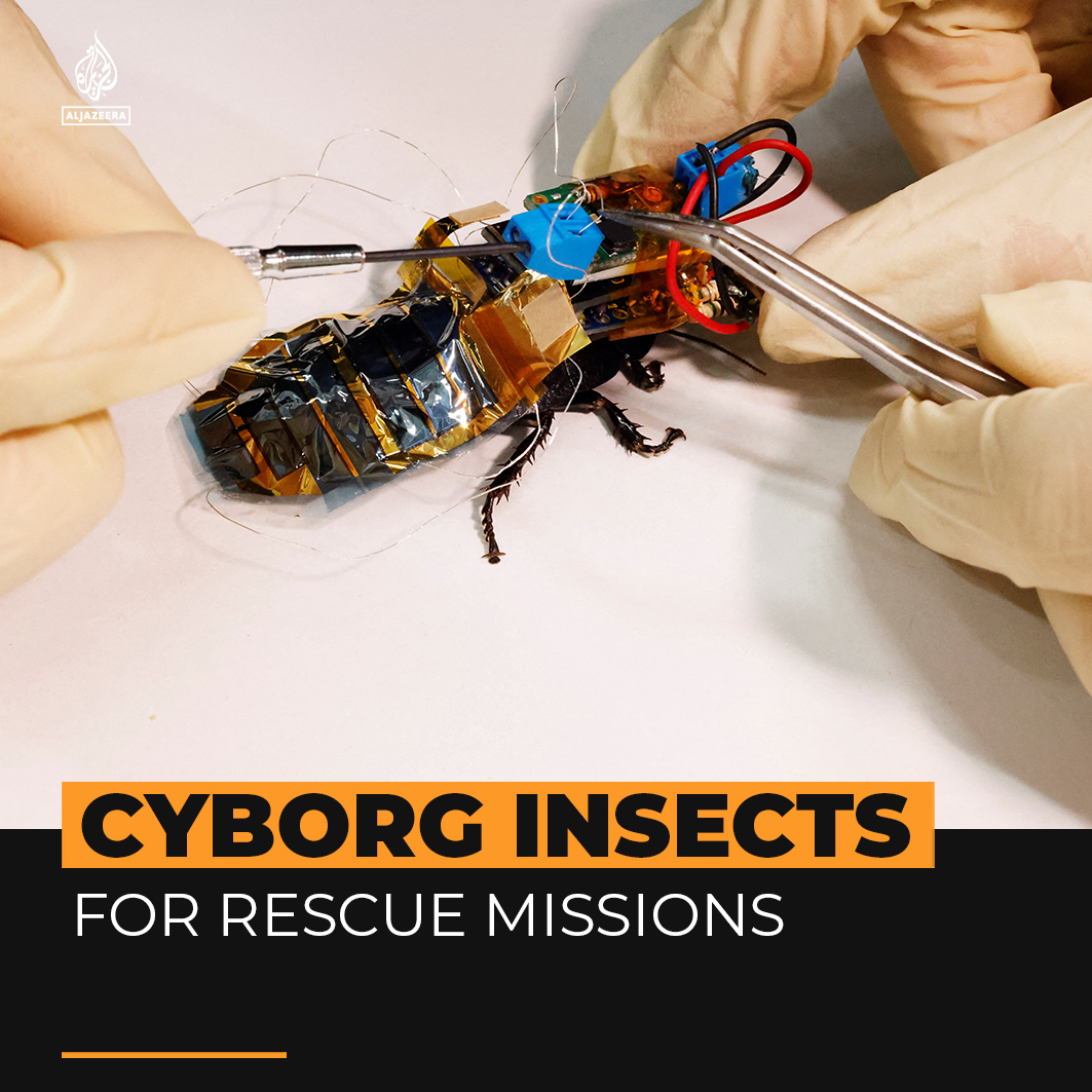 Al Jazeera English on Twitter: 