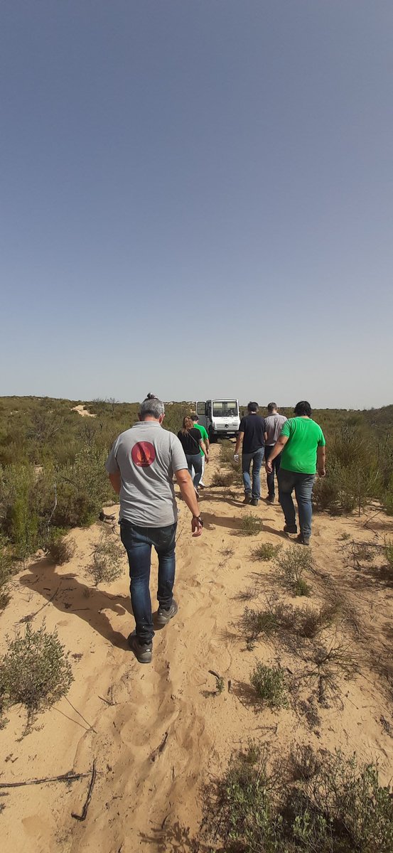 El_Batefuegos's tweet photo. #Emergencias
#IIFF
#SECOMIIFF
#IFMoguer #IFMazagón #Doñana
Y con esto damos por finalizada la interesante visita al Parque Natural
@OsboDigital
@CILIFO_UE
@Plan_INFOCA
@E112Andalucia
@AAMM_And
@OsboDigital @GaloisioA @Fogatillas @AntMaldoMor @Fundacion_ONCE https://t.co/GaZrwrCYVP