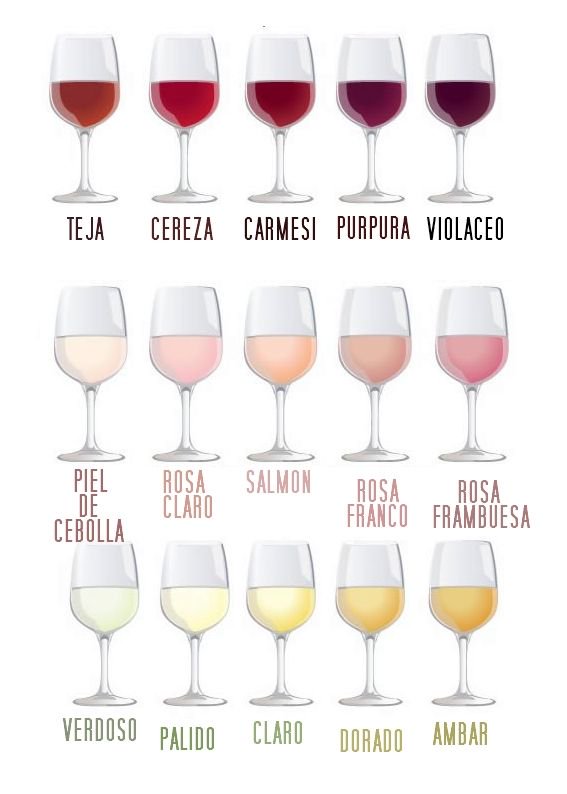 Repasando... buena chuleta para guardar sobre las distintas tonalidades del vino. El vino es diversidad, también en colores 🌈🍷
#vino #consejos #winelovers