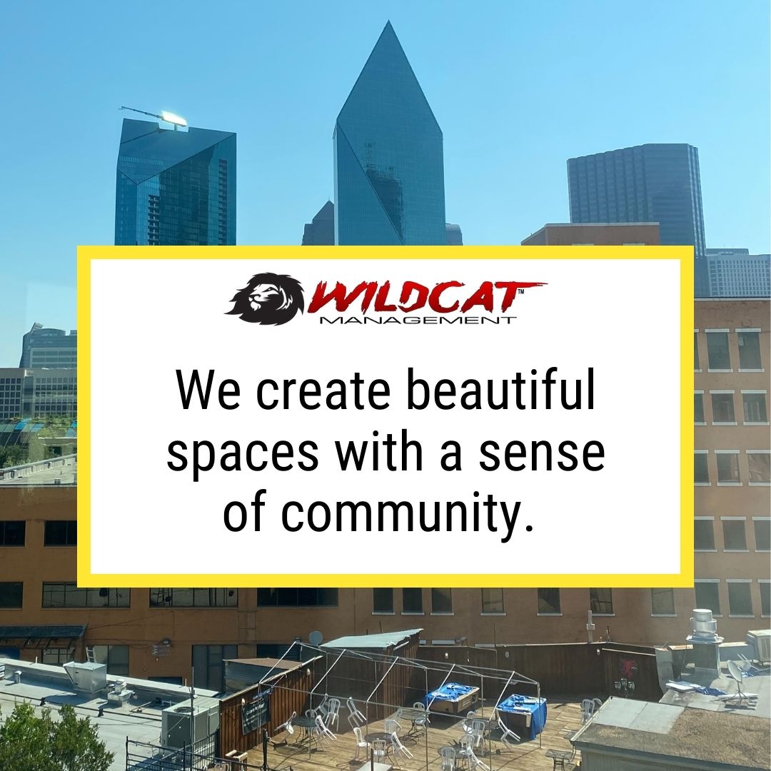 WildcatMgmt's tweet image. Wildcat Management takes on mission-driven projects and strategic public-private sector partnerships in the hopes of sparking economic turnaround and community growth.

We love what we do!

#WildcatMgmt #WeCreateCommunity #WeBuildThings #DallasTx #CompanyCulture #RealEstate  #CRE
