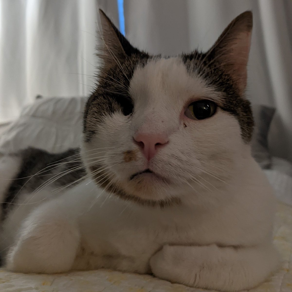 aminoanic tweet media