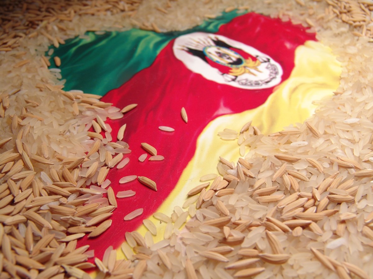 Rio Grande do Sul ultrapassa 12% de área semeada – Planeta Arroz planetaarroz.com.br/rio-grande-do-…